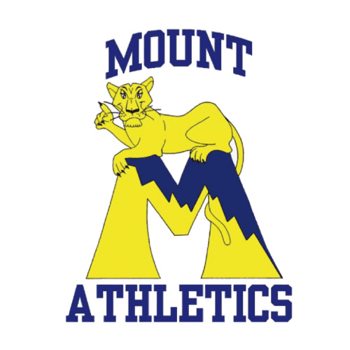 Mount St Marys Mountaineers Logo T-shirts Iron On Transfers N521